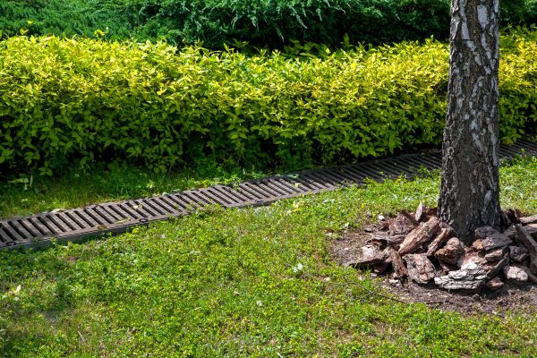 Cost of Residential Landscape Drainage in Kansas City