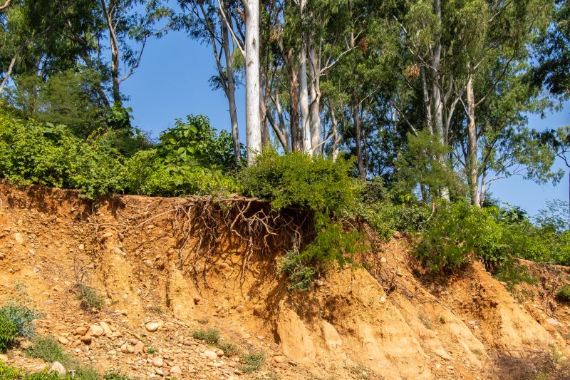 Erosion Control Services